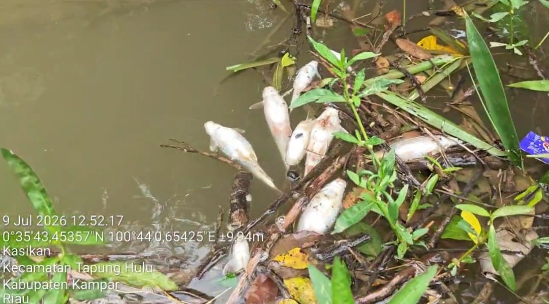 IMG-20260709-WA0004